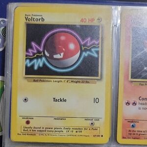 Pokemon Card Voltorb